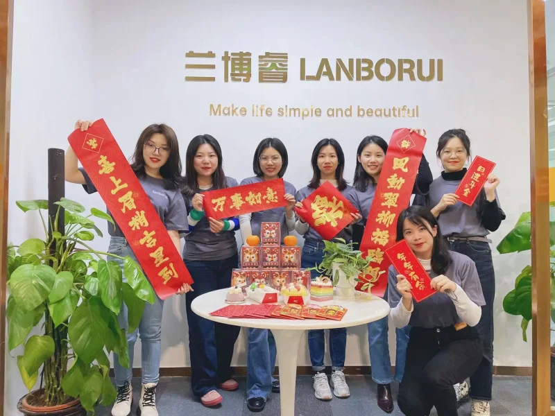 LANBORUI team at the company office