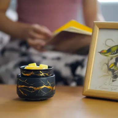 Ceramic aroma wax warmer listed on the official LANBORUI Alibaba supplier profile