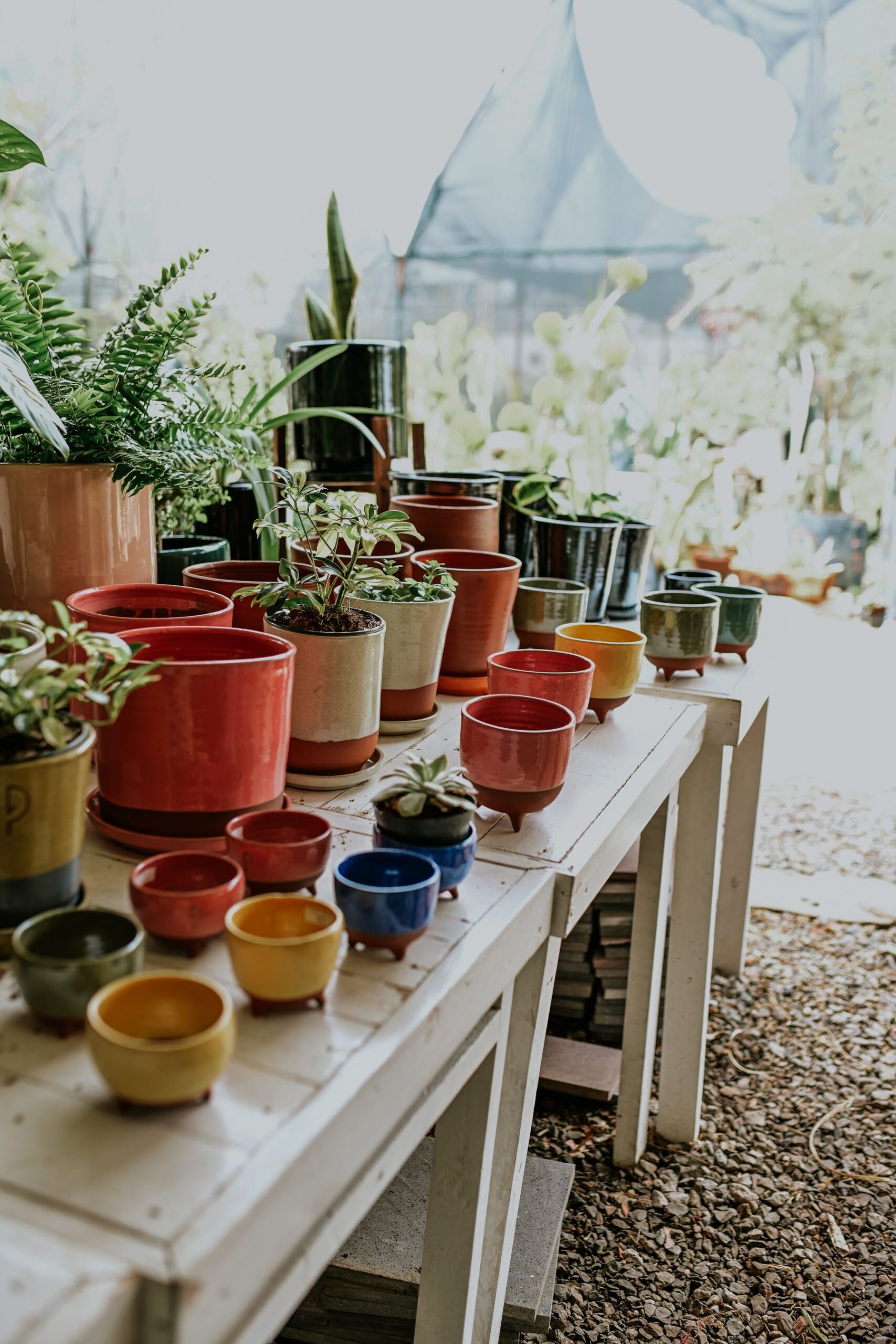 Colourful ceramic plant pots in several sizes arranged as a retail assortment