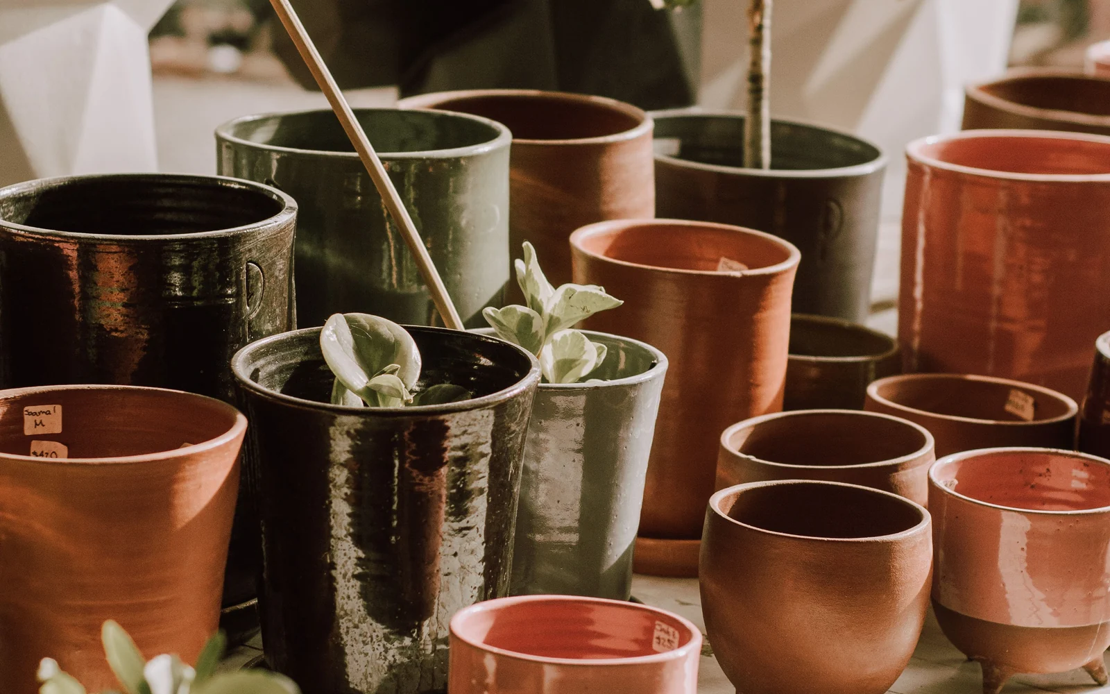 Assortment of ceramic planters in different shapes, sizes and glaze finishes
