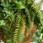 Wholesale Artificial Hanging Plant — material and finish detail thumbnail